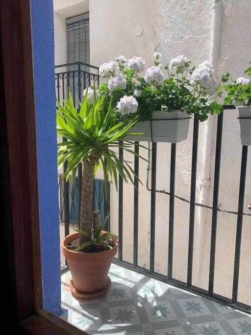 Casa Ziba Casco Antiguo Wifiaa Apartment Peñíscola Exterior foto